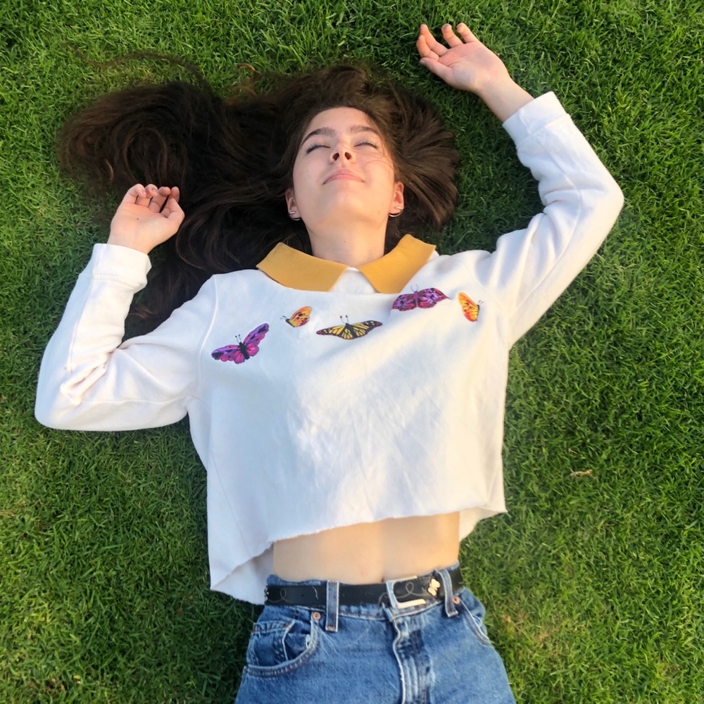 Embroidered butterfly collared sweater and cropped